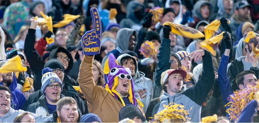 fans cheering at sports game