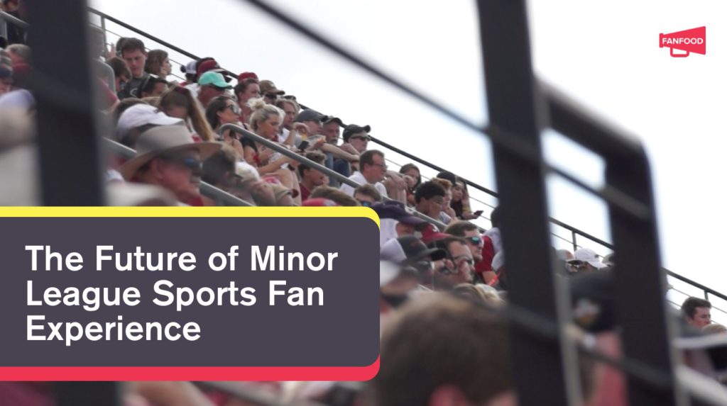 future of minor league sports fan experience