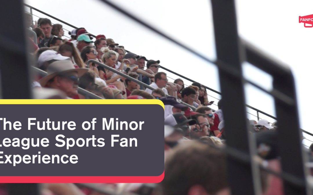 future of minor league sports fan experience